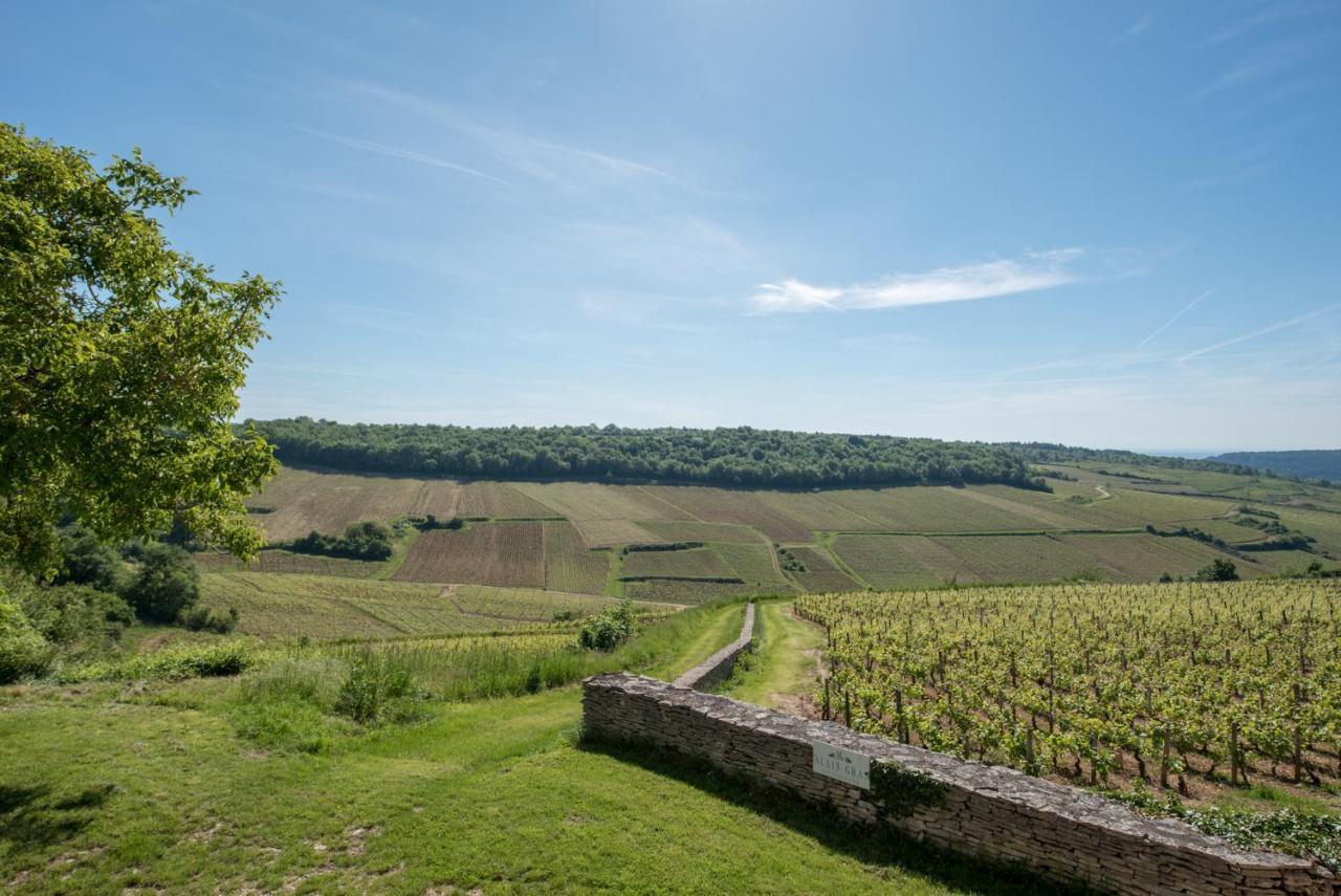 Chez Joseph - Au Coeur Des Vignes De Saint-Romain Extérieur photo